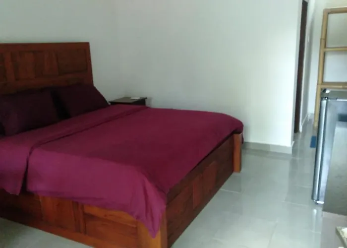 Accommodatie bij particulieren Belong