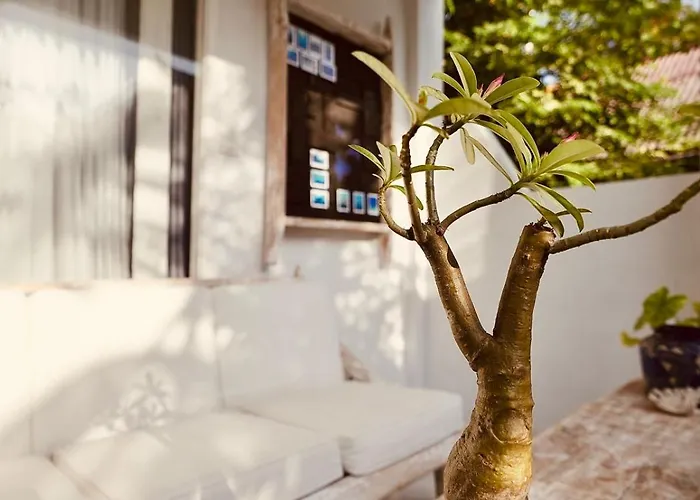Belong Accommodatie bij particulieren Nusa Lembongan